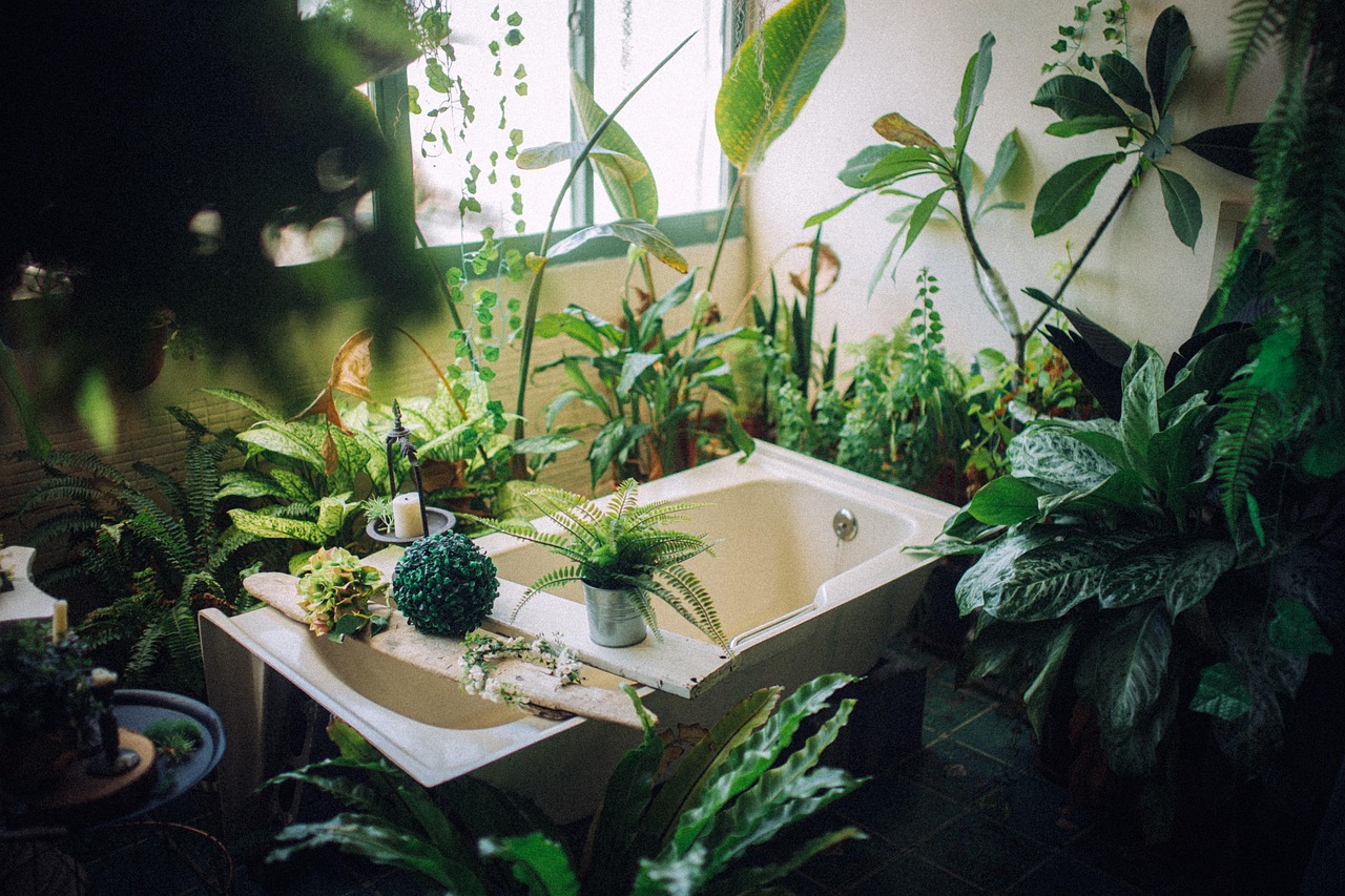 plant, tub, bathroom, hygiene, relaxation, nature, indoors